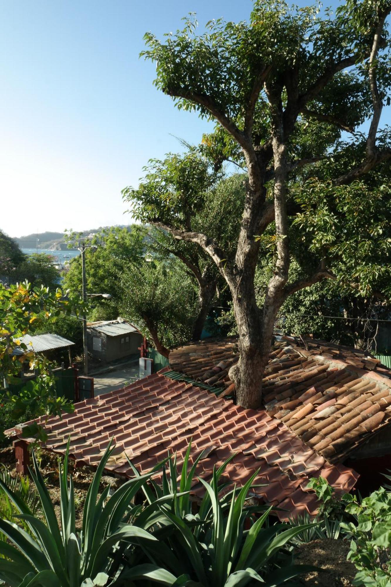 1 Bedroom Cabin, 3 Blocks From Beach And Center Of San Juan San Juan del Sur Exteriör bild